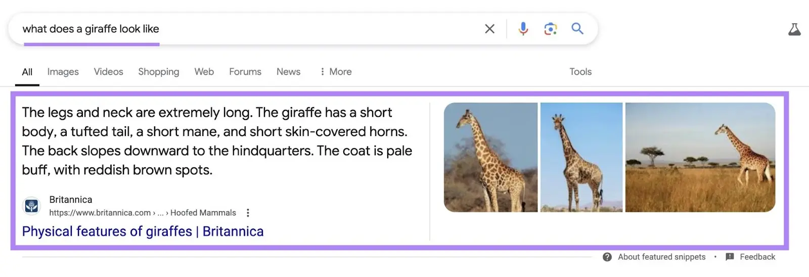 Featured snippet with Britannica description and photos explaining what a giraffe looks like.