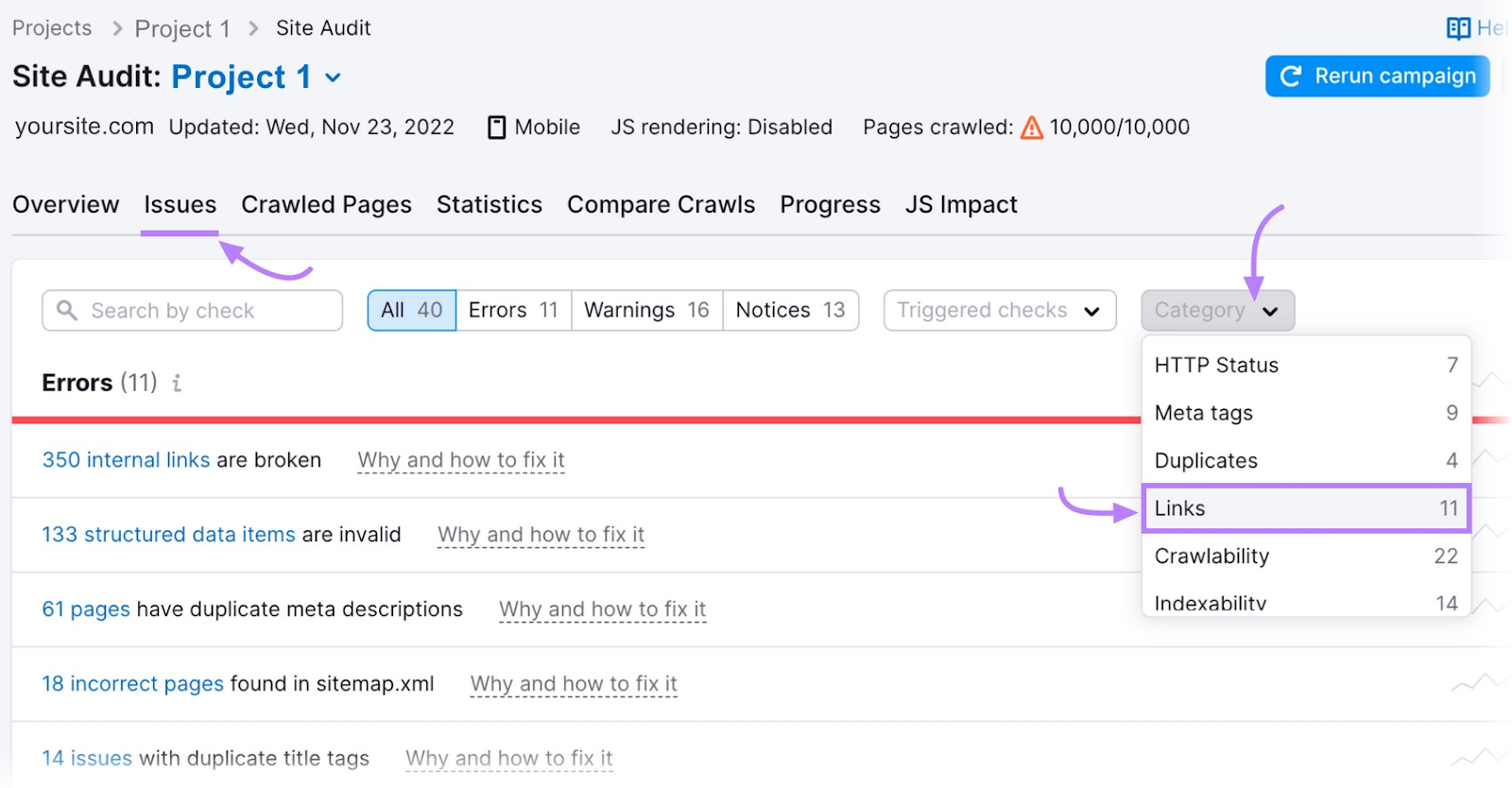 âIssuesâ tab in the Site Audit tool