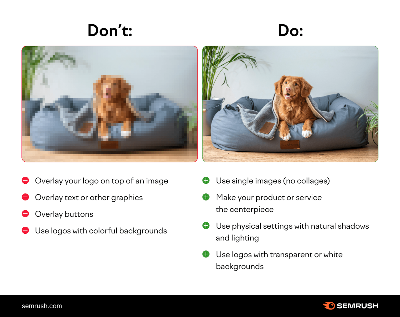 Image quality do and donât infographic