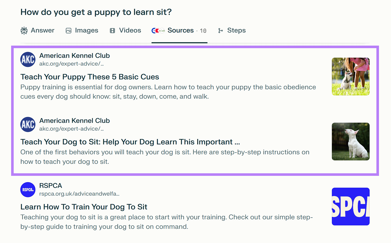 Perplexity results with highlighted sources on how to train a puppy or dog to sit, showing AKC article links.