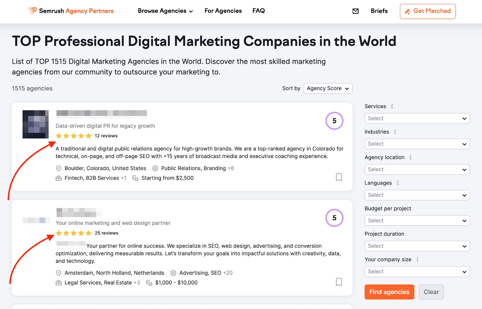 Digital agency card displaying total reviews from both Google Maps and the Agency Partners platform.