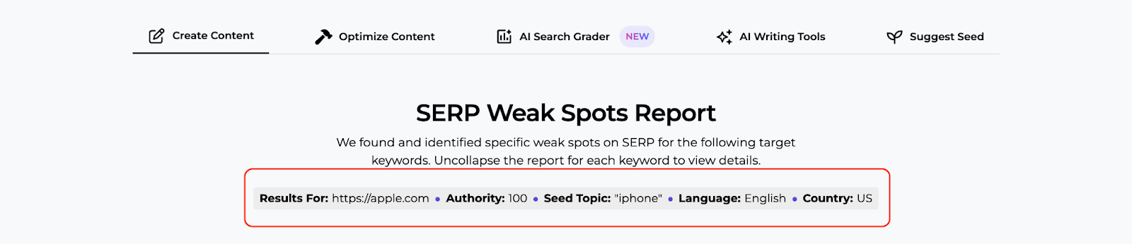 An example of the overview in the SERP Gap Analyzer after accessing a specific analysis.